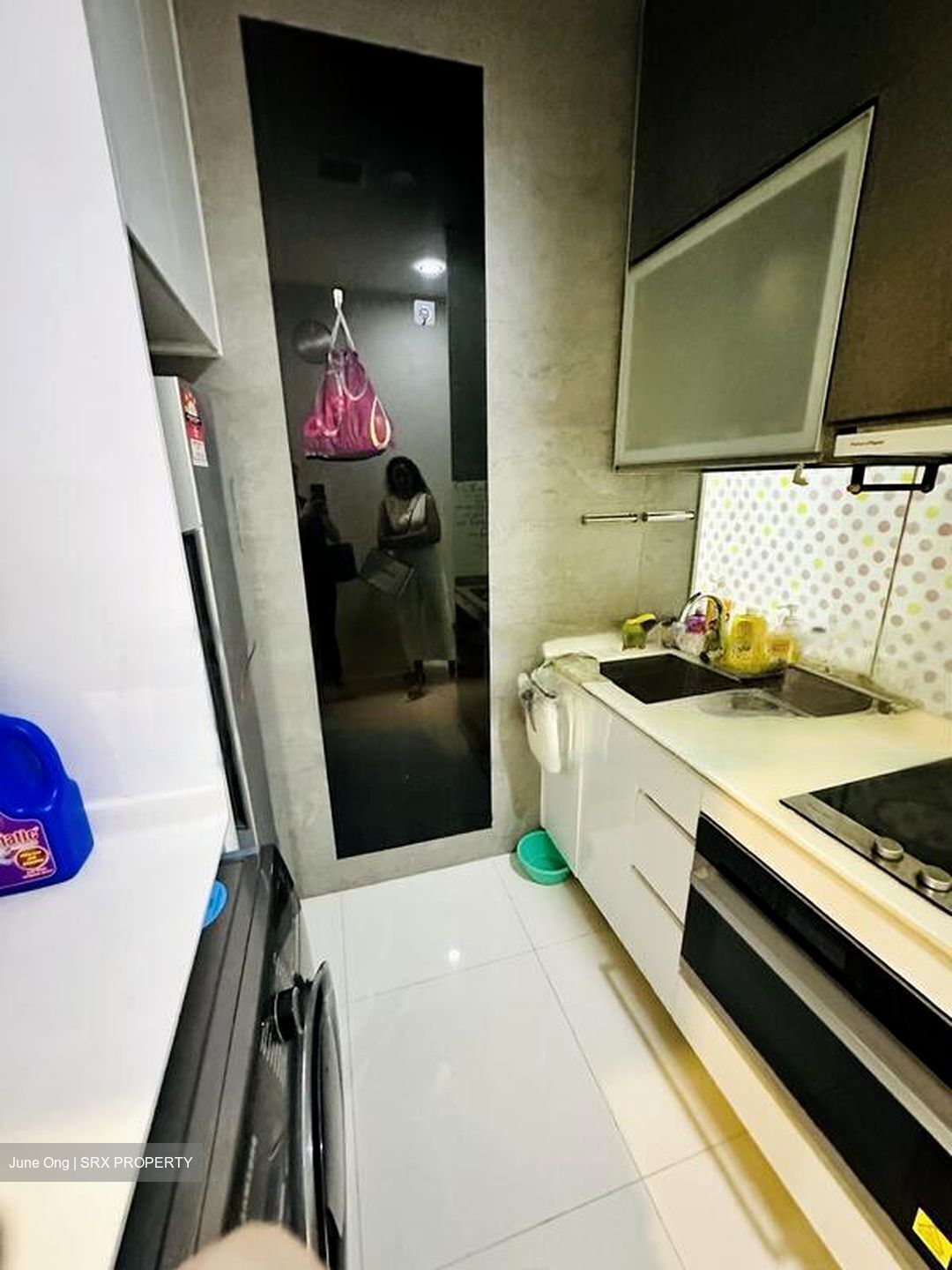 Ascent @ 456 (D12), Apartment #462115771